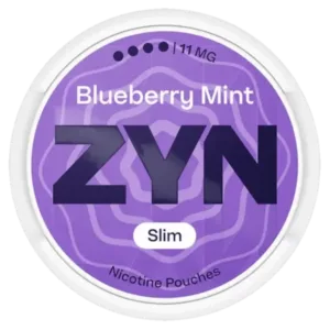 Zyn Blueberry Mint 4